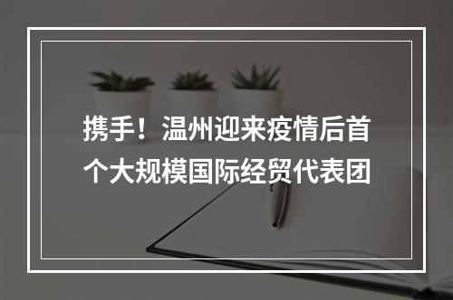 携手！温州迎来疫情后首个大规模国际经贸代表团