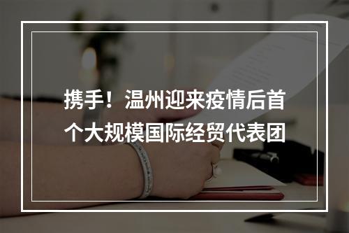 携手！温州迎来疫情后首个大规模国际经贸代表团