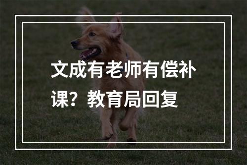 文成有老师有偿补课？教育局回复