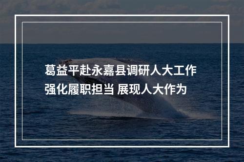葛益平赴永嘉县调研人大工作 强化履职担当 展现人大作为
