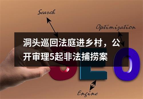 洞头巡回法庭进乡村，公开审理5起非法捕捞案