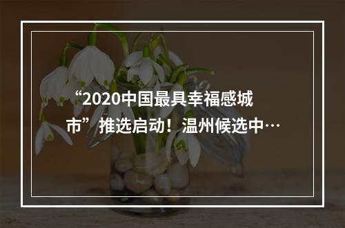 “2020中国最具幸福感城市”推选启动！温州候选中…