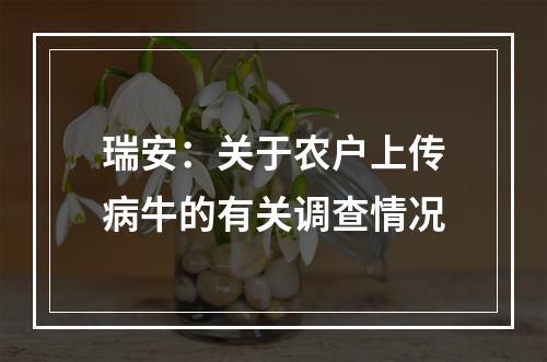 瑞安：关于农户上传病牛的有关调查情况