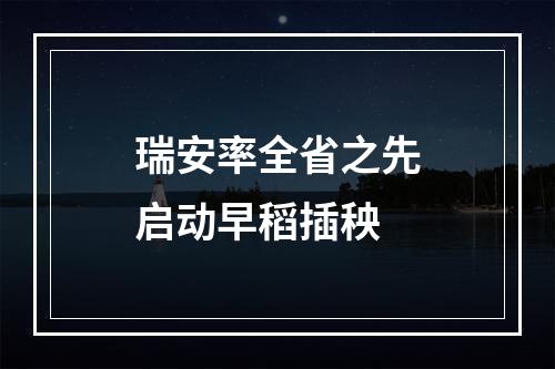 瑞安率全省之先启动早稻插秧