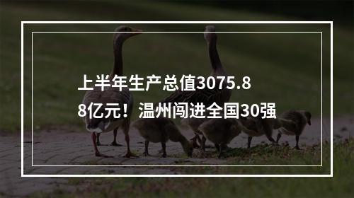 上半年生产总值3075.88亿元！温州闯进全国30强