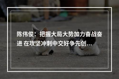 陈伟俊：把握大局大势加力奋战奋进 在攻坚冲刺中交好争先创优答卷