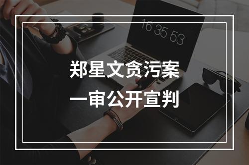 郑星文贪污案一审公开宣判