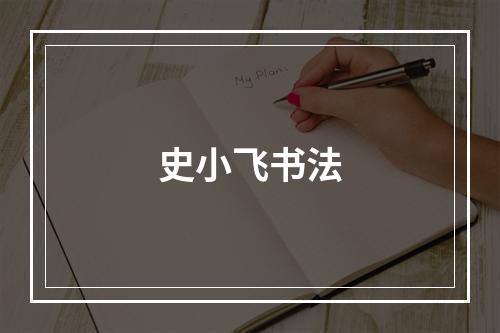 史小飞书法