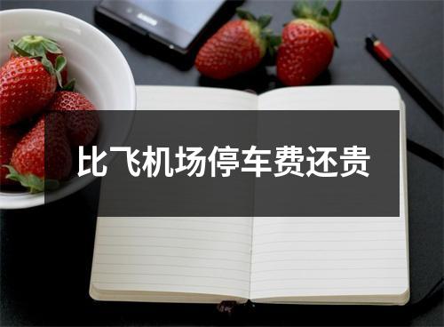比飞机场停车费还贵