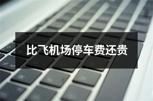 比飞机场停车费还贵