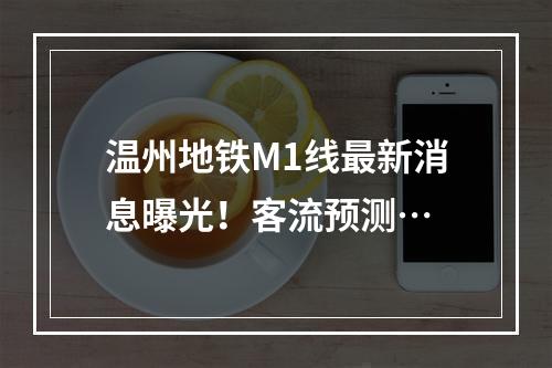 温州地铁M1线最新消息曝光！客流预测…