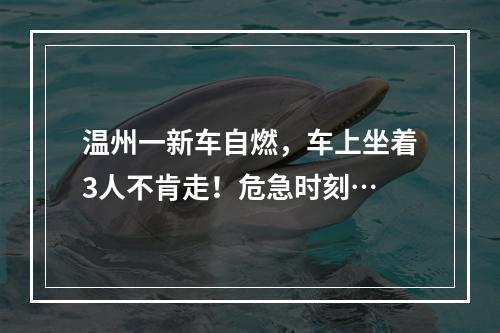 温州一新车自燃，车上坐着3人不肯走！危急时刻…