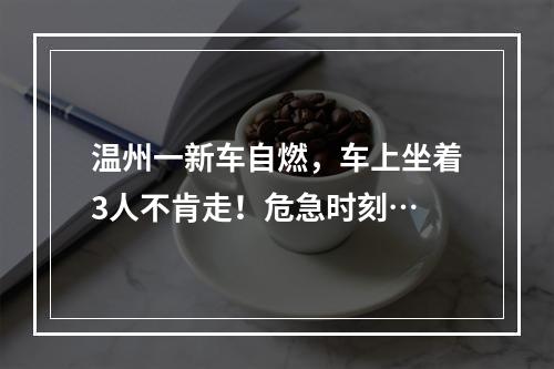 温州一新车自燃，车上坐着3人不肯走！危急时刻…