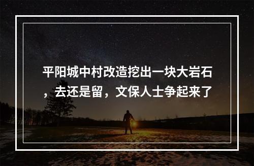 平阳城中村改造挖出一块大岩石，去还是留，文保人士争起来了