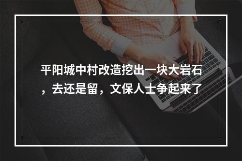 平阳城中村改造挖出一块大岩石，去还是留，文保人士争起来了