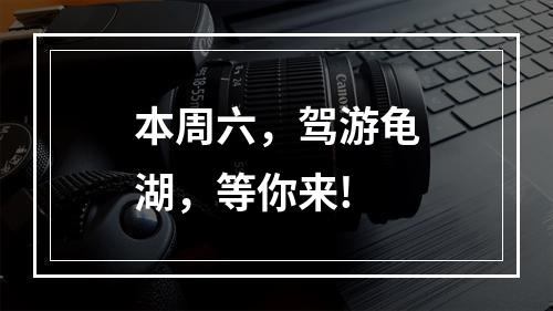 本周六，驾游龟湖，等你来!