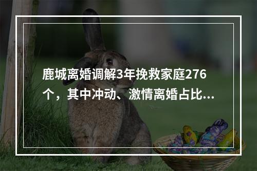 鹿城离婚调解3年挽救家庭276个，其中冲动、激情离婚占比高