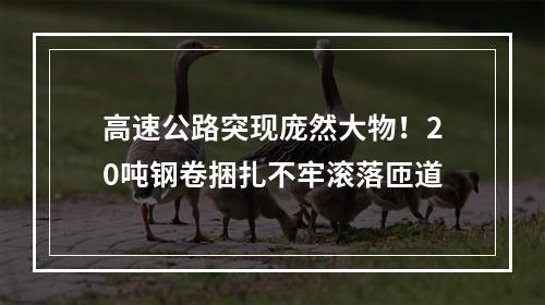 高速公路突现庞然大物！20吨钢卷捆扎不牢滚落匝道