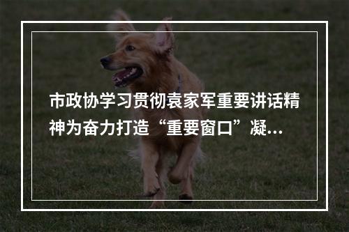 市政协学习贯彻袁家军重要讲话精神为奋力打造“重要窗口”凝聚政协力量