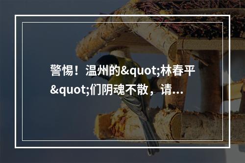 警惕！温州的"林春平"们阴魂不散，请你们收敛点！别搞砸了
