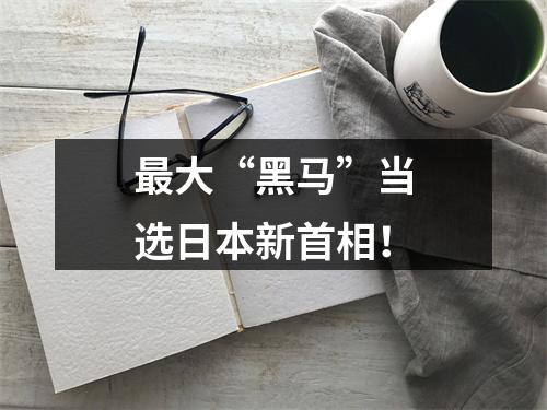 最大“黑马”当选日本新首相！