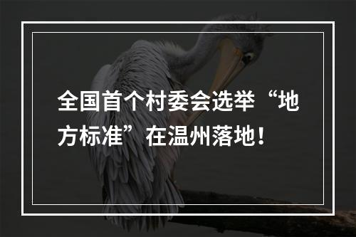 全国首个村委会选举“地方标准”在温州落地！