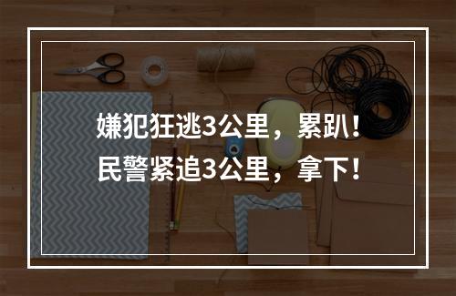 嫌犯狂逃3公里，累趴！民警紧追3公里，拿下！