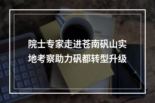院士专家走进苍南矾山实地考察助力矾都转型升级