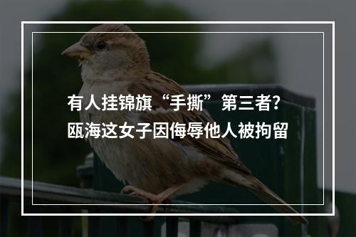 有人挂锦旗“手撕”第三者？瓯海这女子因侮辱他人被拘留