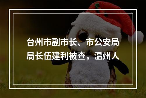 台州市副市长、市公安局局长伍建利被查，温州人