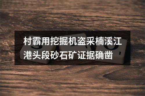 村霸用挖掘机盗采楠溪江港头段砂石矿证据确凿