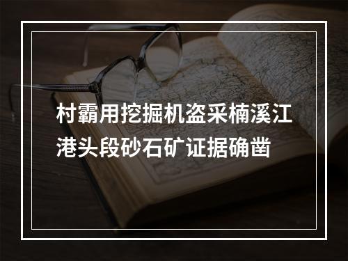 村霸用挖掘机盗采楠溪江港头段砂石矿证据确凿