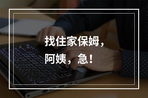 找住家保姆，阿姨，急！