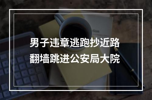 男子违章逃跑抄近路 翻墙跳进公安局大院