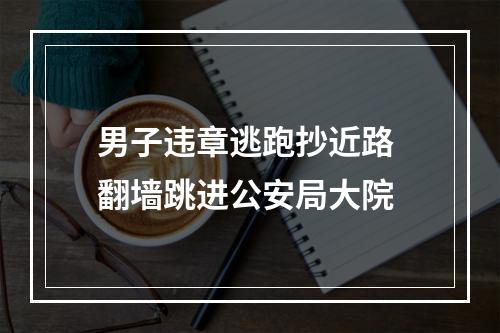 男子违章逃跑抄近路 翻墙跳进公安局大院