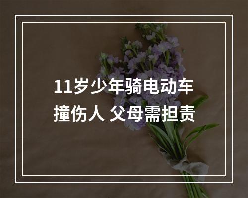 11岁少年骑电动车撞伤人 父母需担责