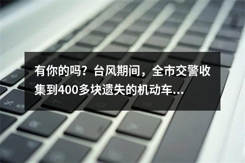 有你的吗？台风期间，全市交警收集到400多块遗失的机动车号牌