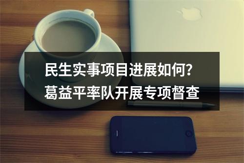 民生实事项目进展如何？葛益平率队开展专项督查