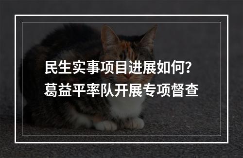 民生实事项目进展如何？葛益平率队开展专项督查