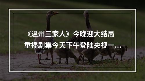 《温州三家人》今晚迎大结局  重播剧集今天下午登陆央视一套