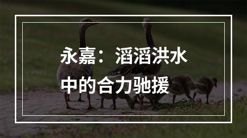 永嘉：滔滔洪水中的合力驰援
