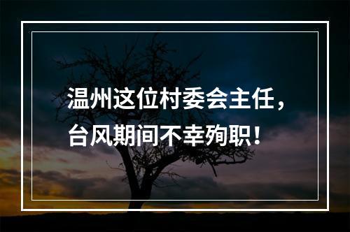温州这位村委会主任，台风期间不幸殉职！