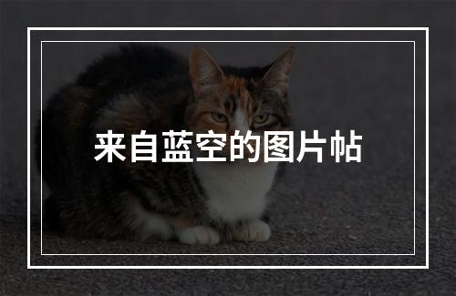 来自蓝空的图片帖