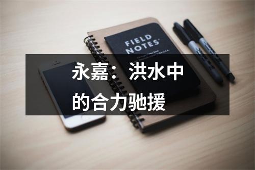 永嘉：洪水中的合力驰援