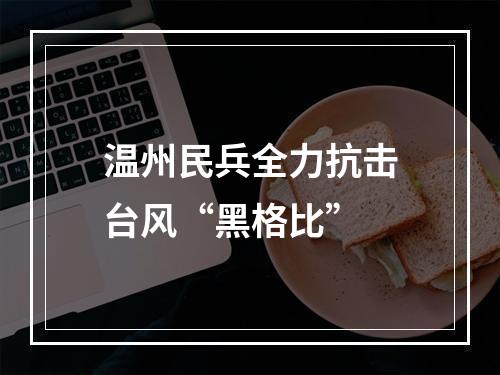 温州民兵全力抗击台风“黑格比”