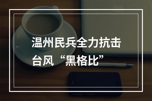 温州民兵全力抗击台风“黑格比”