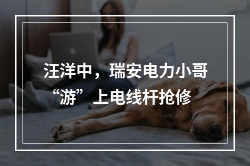 汪洋中，瑞安电力小哥“游”上电线杆抢修