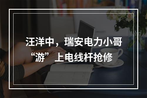 汪洋中，瑞安电力小哥“游”上电线杆抢修