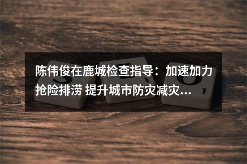 陈伟俊在鹿城检查指导：加速加力抢险排涝 提升城市防灾减灾能力