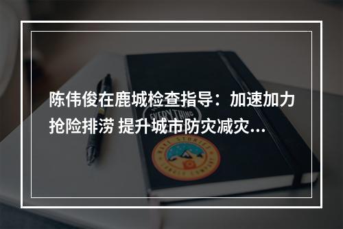 陈伟俊在鹿城检查指导：加速加力抢险排涝 提升城市防灾减灾能力